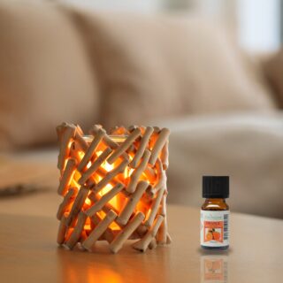 Diffuseur par Chaleur Douce Calorya N° 7