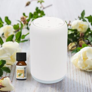 Diffuseur par nébulisation Movisia V2