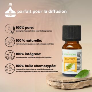 Huiles Essentielles Arbre à Thé – 10 ml