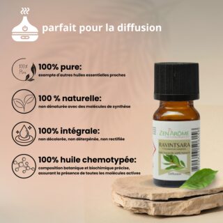 Huiles Essentielles Ravintsara – 10ml