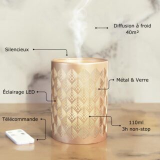 Diffuseur Ultrasonique avec Télécommande Vienne