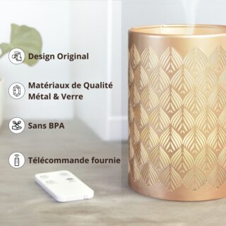 Diffuseur Ultrasonique avec Télécommande Vienne