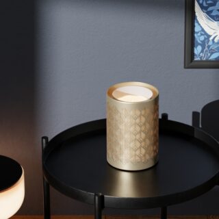 Diffuseur Ultrasonique avec Télécommande Vienne – Image 12