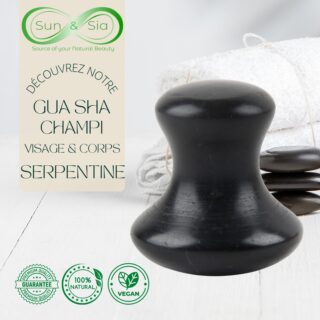 Champi GuaSha en Serpentine Noire