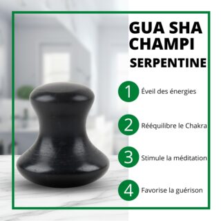Champi GuaSha en Serpentine Noire