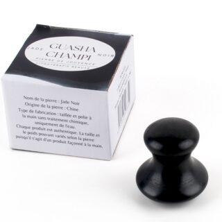 Champi GuaSha en Serpentine Noire – Image 8