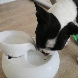 Fontaine Moderne Toby – Image 12