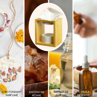 Brûle Parfum Série Naturéa – Shell
