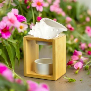 Brûle Parfum Série Naturéa – Shell