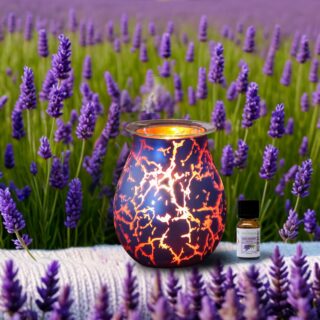Diffuseur par Chaleur Douce Calorya N° 10 – Image 6