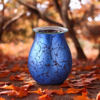 Diffuseur par Chaleur Douce Calorya N° 10 – Image 9