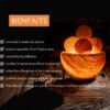 Lampe avec 4 boules de massage en Sel d'Himalaya 2 kg – Image 3