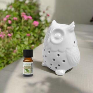 Brûle Parfum Céramique - Hibou – Image 13