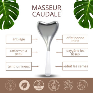 Masseur Caudale GuaSha Thermothérapie
