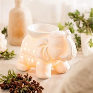 Brûle parfum Série Céramy - Tandor Blanc – Image 12