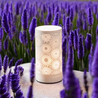 Diffuseur par Chaleur Douce Calorya N° 15 – Image 13