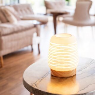 Diffuseur par Chaleur Douce Calorya N° 16 – Image 9