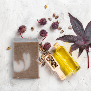 Shampoing Bio Cheveux Normaux à Gras – Image 7