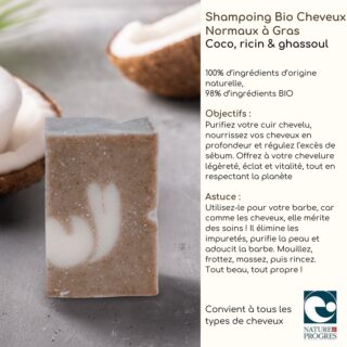 Shampoing Bio Cheveux Normaux à Gras – Image 8