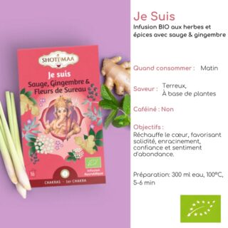 Tisane Bio JE SUIS