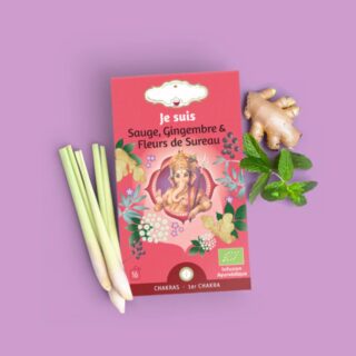 Tisane Bio JE SUIS