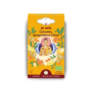 Tisane Bio JE VOIS