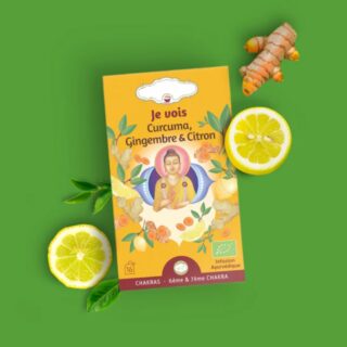 Tisane Bio JE VOIS
