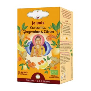 Tisane Bio JE VOIS