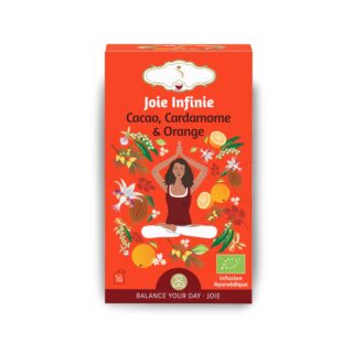 Tisane Bio JOIE INFINIE