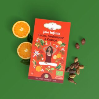 Tisane Bio JOIE INFINIE