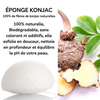 Zéro Déchet Éponge Konjac Pour Visage Classique – VRAC