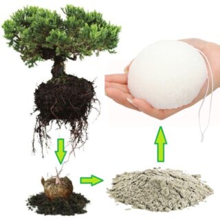 Zéro Déchet Éponge Konjac Pour Visage Classique – VRAC