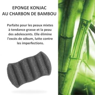 Éponge Konjac Pour Visage Classique