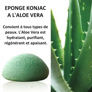 Zéro Déchet Éponge Konjac Pour Visage à l’Aloe Vera – VRAC
