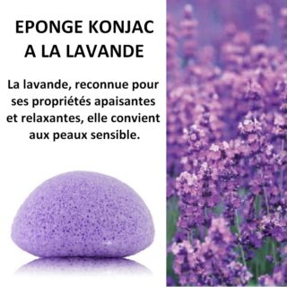 Zéro Déchet Éponge Konjac Pour Visage à la lavande – VRAC