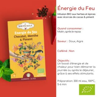 Tisane Bio ÉNERGIE DU FEU