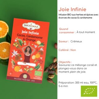 Tisane Bio JOIE INFINIE