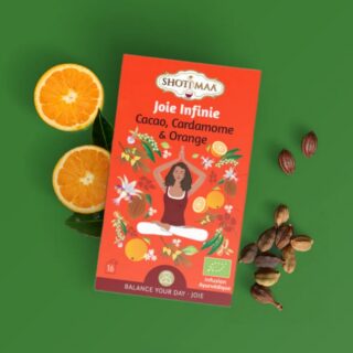Tisane Bio JOIE INFINIE